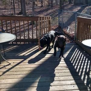 Meet your Posher, Deanna